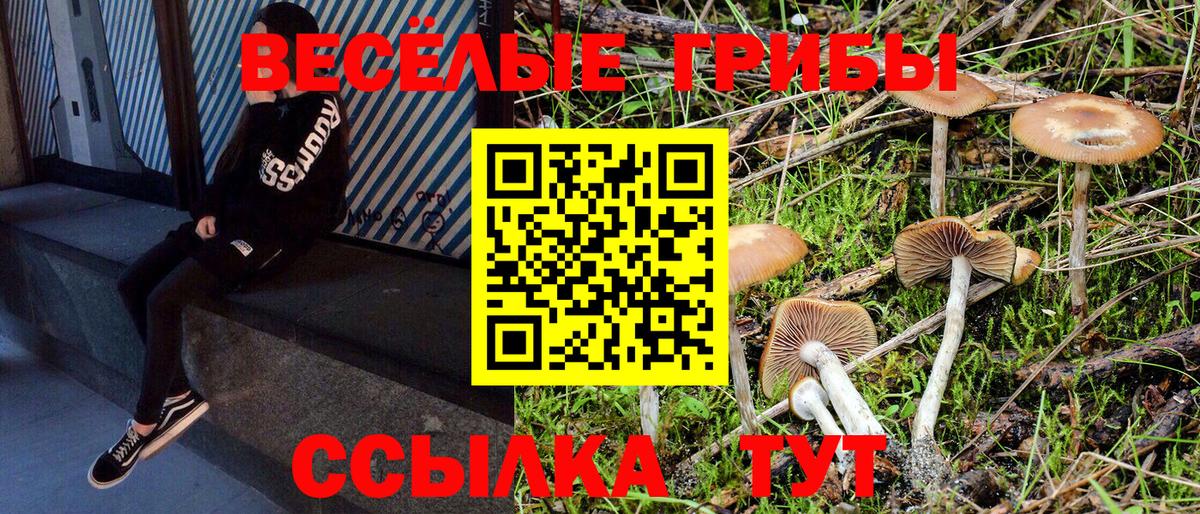 Галлюциногенные грибы Cubensis  Вход с VPN  Полысаево 